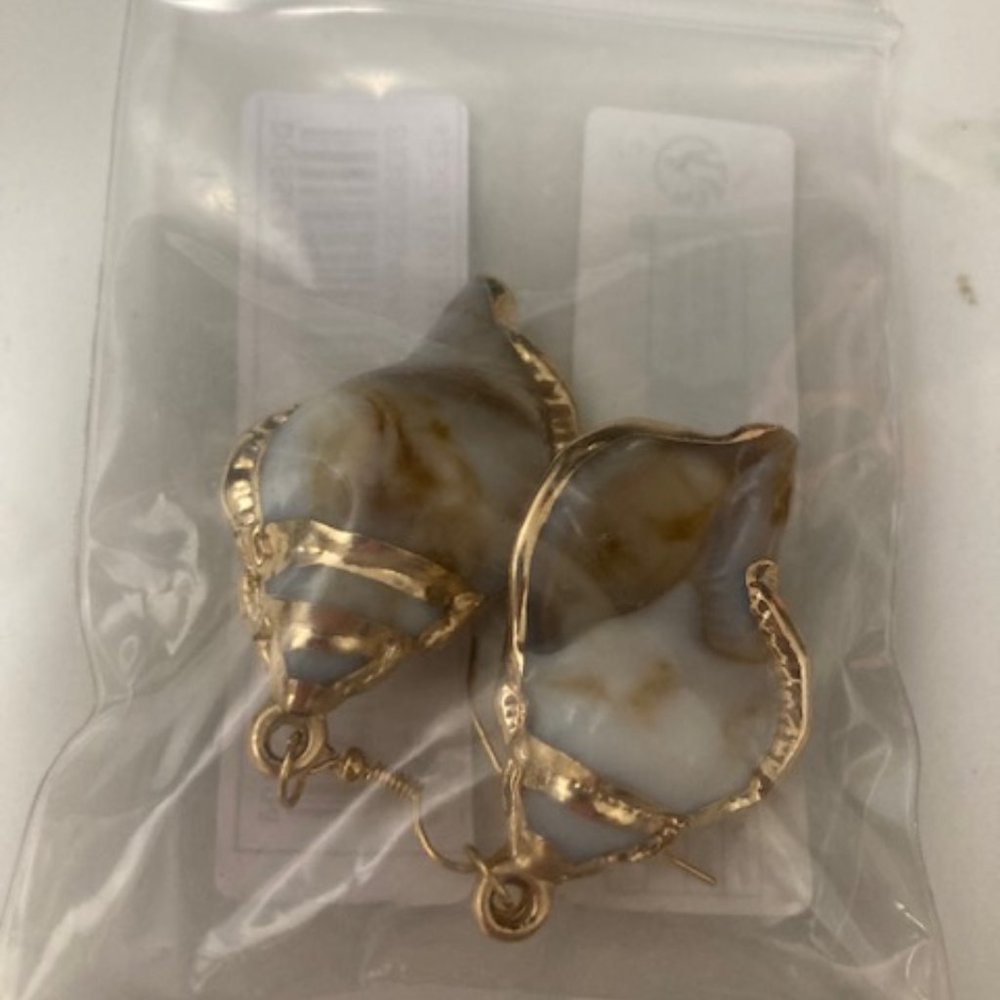 Natural and gold trim seashell earrings